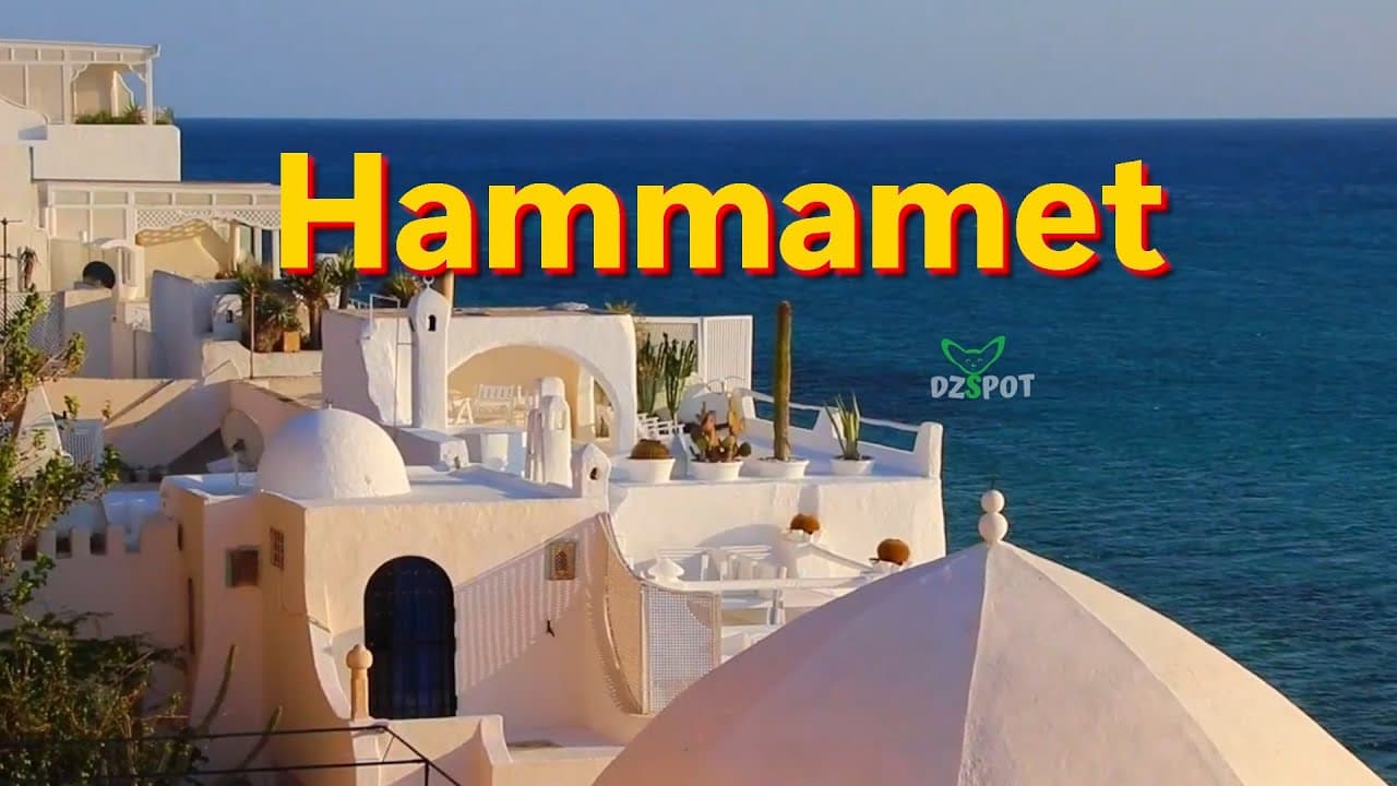 ტუნისის ტური ვიდეოში